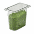 Cambro Storage & Transport Each Cambro 96PCW135 - 6"D Ninth Size Food Pan
