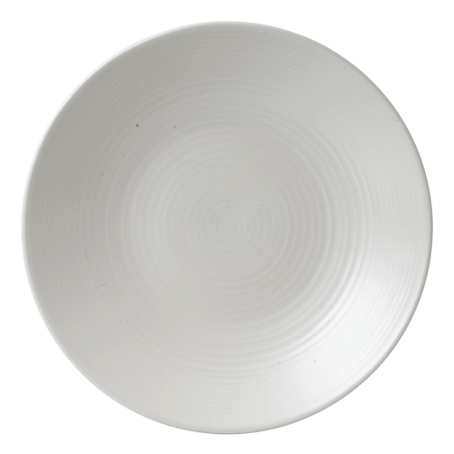Cardinal Dinnerware Each Dudson EP292 Evo 11 1/2" Matte Pearl Deep Round Stoneware Plate by Arc Cardinal - Case of 8 | Denson CFE