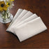 Cardinal Tissue Group Essentials Case DN23M 2-Ply Dinner Napkins (10x300 PC) Cardinal | Denson CFE
