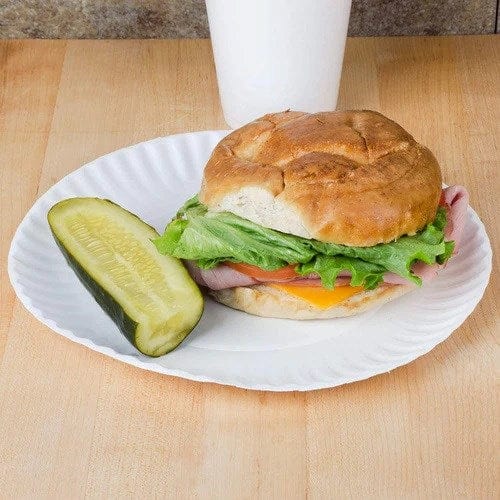 Denson CFE Essentials Case Disposable White Uncoated Paper Plates 9" 1200 Pcs