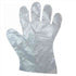 Econo Essentials BOX Deli Gloves GL500L - Low-Density Polyethylene - Large | Denson CFE