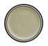 Oneida Canada Dinnerware Dozen Oneida R4238028143 Plate, 9 1/2" Dia., Round, Narrow Rim, Oneida, Blue Ridge, Ivory | Denson CFE