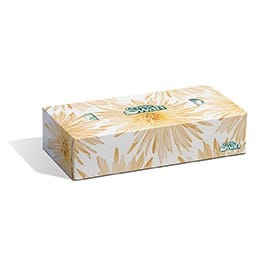 White Swan Essentials Case White Swan TTK8301 2-Ply Facial Tissue 100 Sheets, 30/Cs | Denson CFE